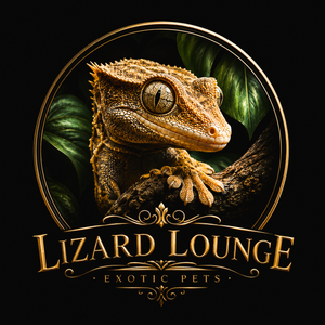 Lizard Lounge - Home