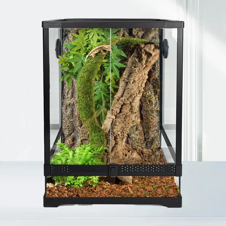 Regenwald-Terrarium | Naturnahes Glas-Aquaterrarium für Reptilien