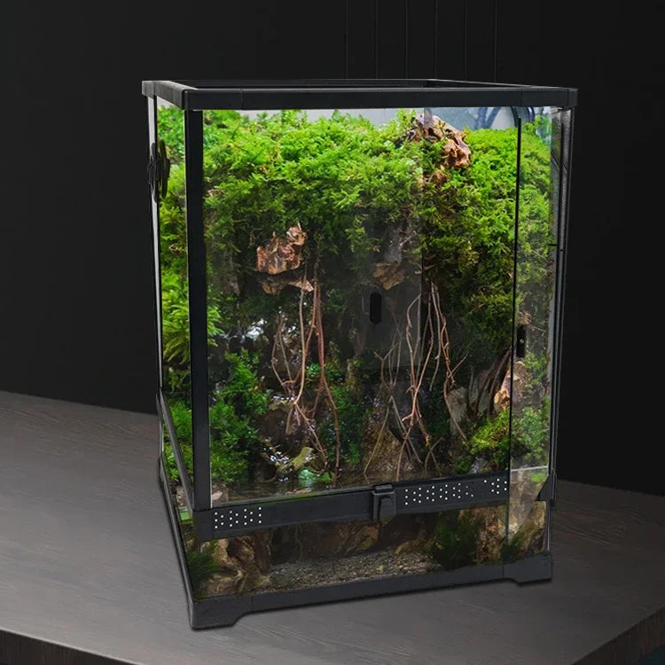 Regenwald-Terrarium | Naturnahes Glas-Aquaterrarium für Reptilien