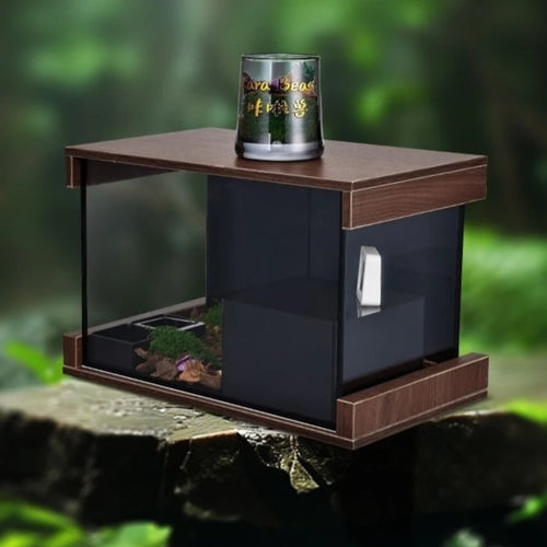 Glas-Terrarium für Reptilien | Belüftung & Schiebetür